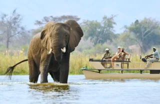 elephant boating, zambias hidden luxuries, trips