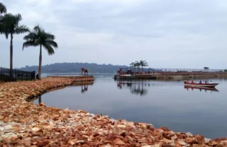entebbe, ugandas great apes
