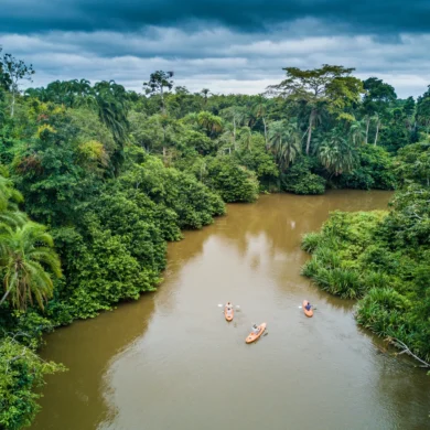 kayaking, the complete odzala experience, congo trips