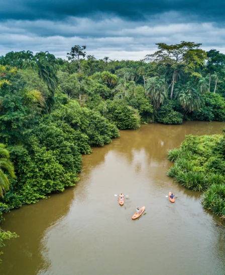 kayaking, the complete odzala experience, congo trips