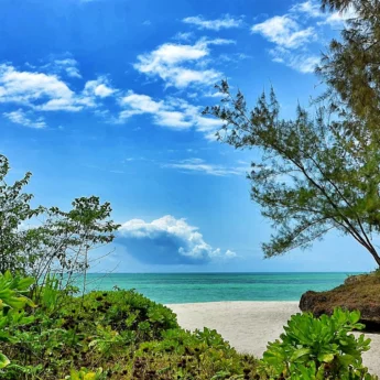 Sliver of a cove, white sand and flora, Pongwe Beach Hotel, Zanzibar, Tanzania - Yellow Zebra Safaris