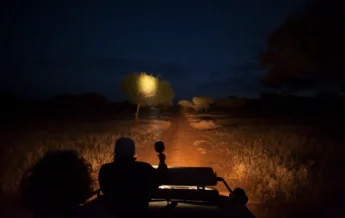 Night Drive, Kuro Tarangire, Tarangire, Tanzania