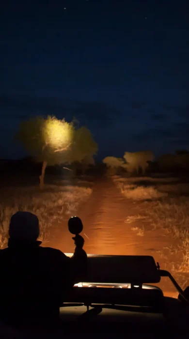Night Drive, Kuro Tarangire, Tarangire, Tanzania
