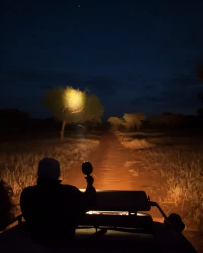 Night Drive, Kuro Tarangire, Tarangire, Tanzania