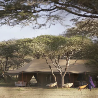 Serian Camp, South Kakessio Tent Exterior, Serengeti, Tanzania