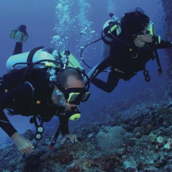 divers high