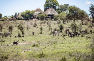 Wildlife, Kidepo Valley National Park, Uganda