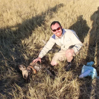 wild dog rescue, botswana