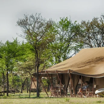 Tent, Serian's Serengeti North Camp, The Serengeti, Tanzania