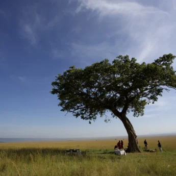 Picnic site