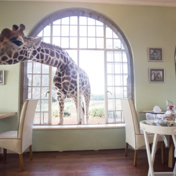 dining area, giraffe manor, nairobi, Kenya