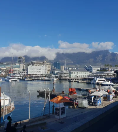 shona cape town v a waterfront yellow zebra safaris