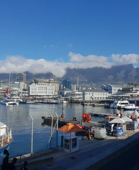 shona cape town v a waterfront yellow zebra safaris