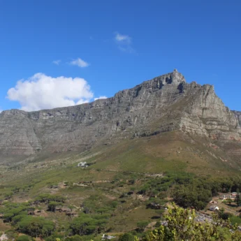 table mountain emma fam yellow zebra safaris