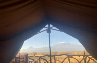 Satao 1 best views kenya yellow zebra safaris