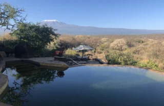 Satao 3 best views kenya yellow zebra safaris