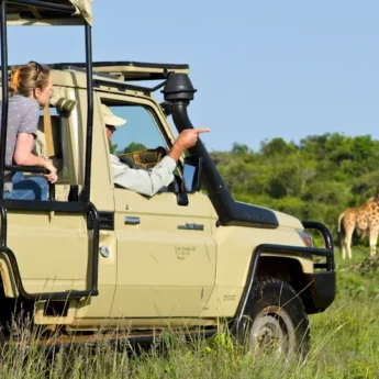 Game drive giraffe small