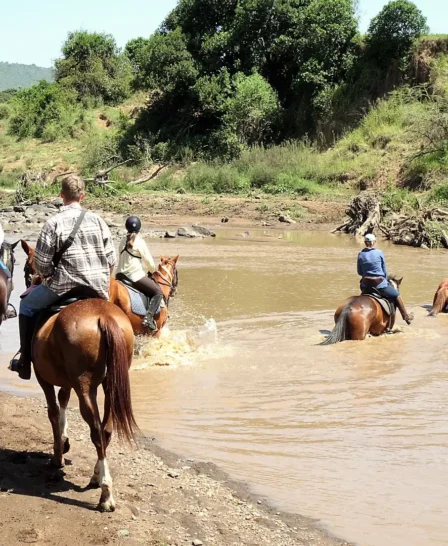 crossing horseback yellow zebra safaris
