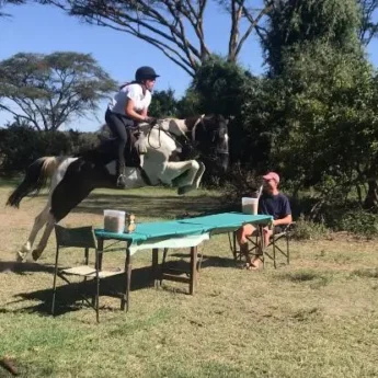 jump horse riding yellow zebra safaris