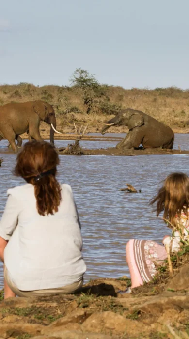 safari walks