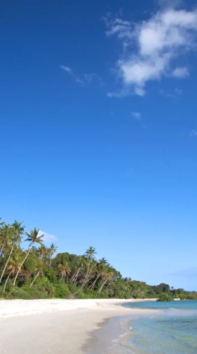 008 WAMBAA BEACH