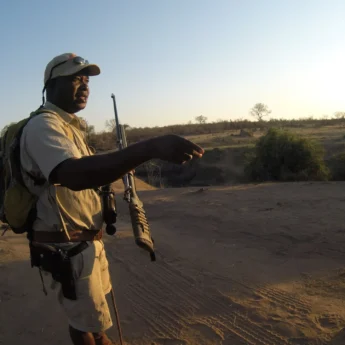 solo safari walking safari angela zimbabwe yellow zebra safaris