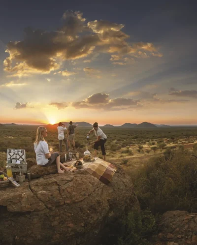 bush picnic tuningi madikwe yellow zebra safaris