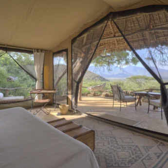 Sarara camp bedroom view kenya yellow zebra safaris