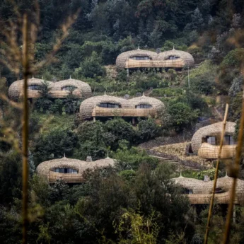 External Bisate, Volcanoes National Park, Rwanda