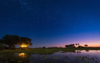 Starbed, Tubu Tree, Okavango Delta, Botswana