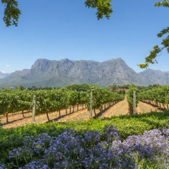 Stellenbosch Mountains, The Winelands, Cape Town, South Africa