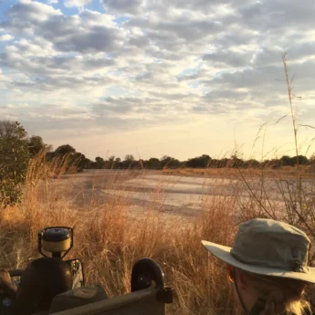 Safari Drive, Mchenja Bush, South Luangwa NP, Zambia