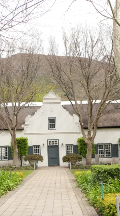 grande provence winelands south africa yellow zebra safaris