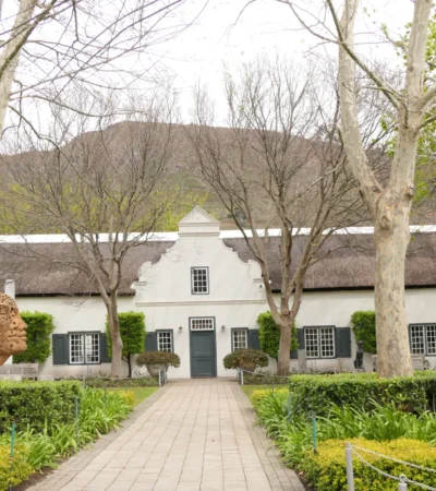 grande provence winelands south africa yellow zebra safaris