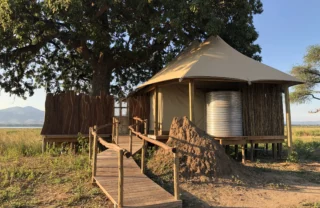 client nyamatusi camp 3 zimbabwe yellow zebra safaris