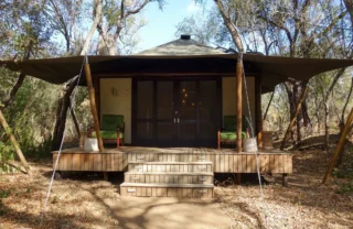 17NgalaTent south africa client review yellow zebra safaris