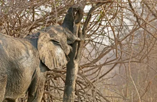 fly camping selous tanzania client blog 3