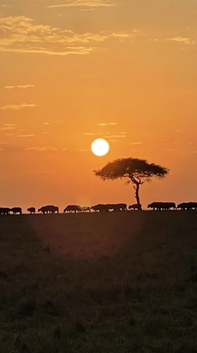 Sunset, Masaai Mara, Kenya