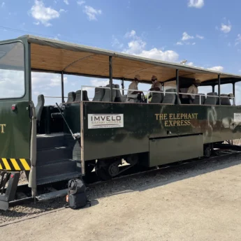 Elephant Express Train, Hwange National Park, Zimbabwe