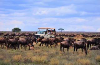 Ngorongoro camp migration views