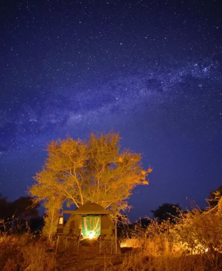 Fly Camping, Feline Fields, Kalahari NP, Botswana