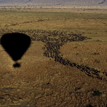Hot Air Ballooning, The Serengeti NP, Tanzania