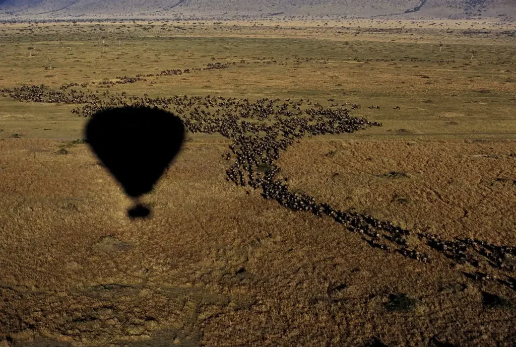 Hot Air Ballooning, The Serengeti NP, Tanzania