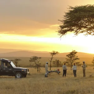 Game drive, Kicheche Laikipia, Kenya