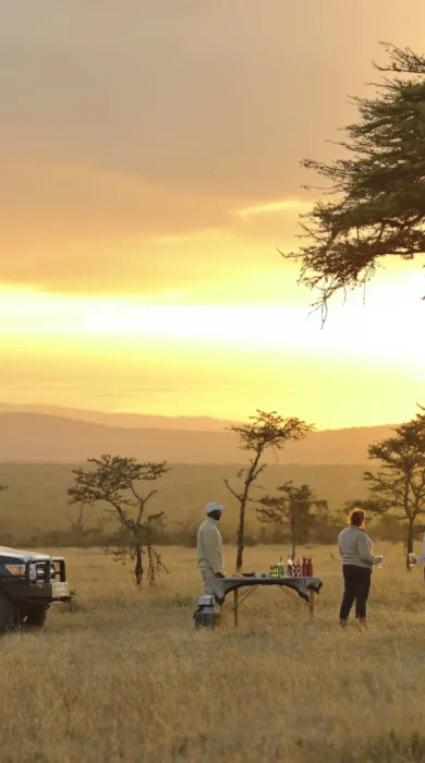 Game drive, Kicheche Laikipia, Kenya