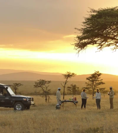Game drive, Kicheche Laikipia, Kenya