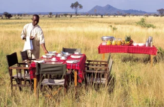 Elsa's Kopje Meru Bush Breakfast