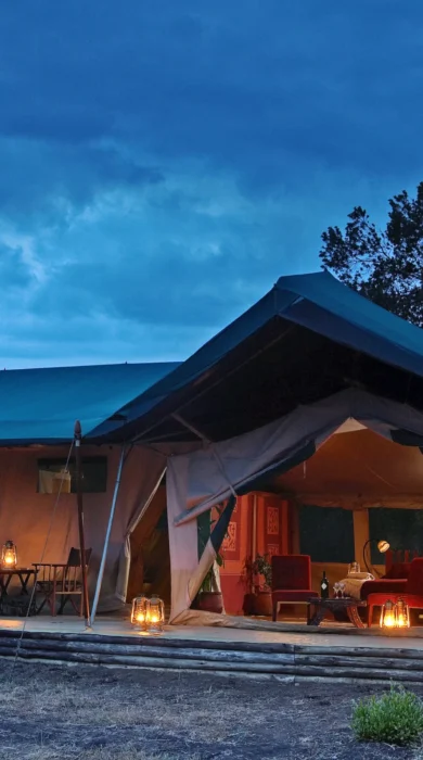 kicheche laikipia exterior kenya yellow zebra safaris