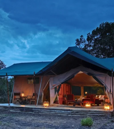 kicheche laikipia exterior kenya yellow zebra safaris