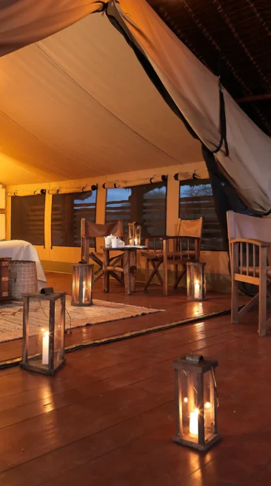 satao elarai bedroom tent kenya yellow zebra safaris